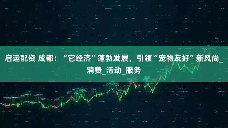 启运配资 成都：“它经济”蓬勃发展，引领“宠物友好”新风尚_消费_活动_服务