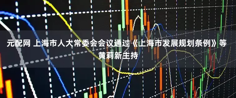 元配网 上海市人大常委会会议通过《上海市发展规划条例》等 黄莉新主持