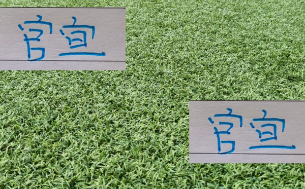 同花配 官宣了！申花明年要换1到2个外援 特谢拉 路易斯 马纳法 谁能留下